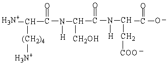 What is the net charge on the oligopeptide in the figure shown here at pH 1?   A)  3+ B)  1+ C)  2+ D)  0