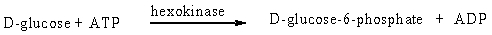 The enzyme hexokinase catalyzes the transfer of a phosphate group from ATP to carbon 6 of D-glucose and other D-hexoses. L-hexoses are not substrates to the enzyme.   Hexokinase displays A)  relative specificity B)  stereospecificity C)  absolute specificity D)  both relative specificity and stereospecificity
