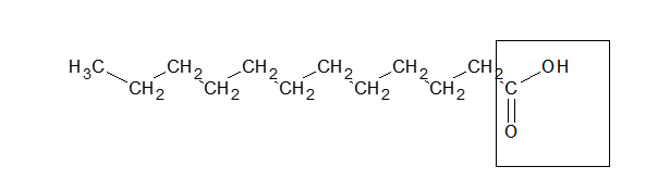 <strong>Shown below is the structure of the fatty acid, lauric acid:   The boxed portion is considered to be both</strong> A) hydrophilic and hydrophobic. B) polar and hydrophobic. C) polar and hydrophilic. D) nonpolar and hydrophilic. <div style=padding-top: 35px> 