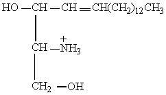 <strong>The structure shown below represents which of the following? </strong> A) sphingosine B) glycerophospholipid C) triglyceride D) sphingoglycolipid