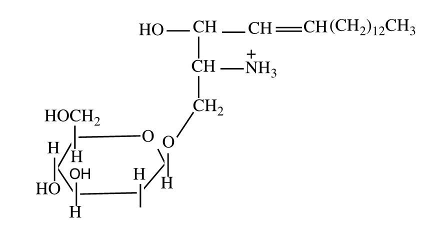 <strong>The structure shown below represents which of the following? </strong> A) sphingophospholipid B) shingoglycolipid C) glycerophospholipid D) disaccharide