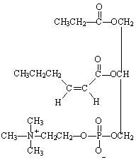 The following sketch is a structure of a compound.     a) Is this a saponifiable or nonsaponifiable lipid? b) Circle the unsaturated fatty acid chain. c) Is this a triglyceride, phospholipid or glycolipid?