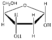  What is the name of this compound?   A)   \alpha -D-ribofuranose B)  \alpha -D-2-deoxyribofuranose C)   \alpha -D-3-deoxyribofuranose D)   -D-ribose 