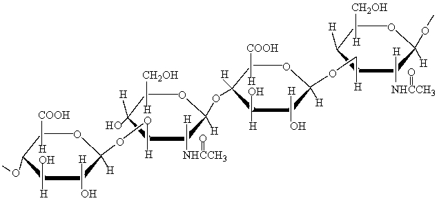 Hyaluronic acid solutions serve as lubricants in the fluid of joints and are present in the vitreous humor of the eye. A portion of its structure is shown below.   Which of the following statements is true? A)  Hyaluronic acid is a homopolysaccharide. B)  Hyaluronic acid is a heteropolysaccharide. C)  Hyaluronic acid is made of D-glucose residues. D)  The monosaccharide residues in hyaluronic acid are of furanose form.