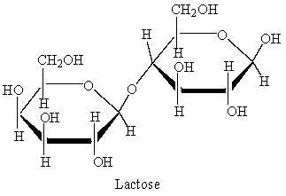 Shown below is Lactose. Explain why lactose is a reducing sugar.   