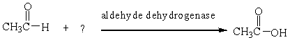 Which of the following oxidizing agents is necessary to complete the biochemical reaction below?   A)  K<sub>2</sub>Cr<sub>2</sub>O<sub>7</sub> B)  NAD<sup>+</sup> C)  Cu<sup>2+</sup> D)  NADH