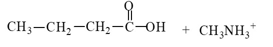 The products of the hydrolysis reaction below are   A)    B)    C)    D)   