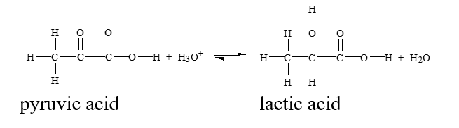 Which of the conditions below would drive this reaction to the right?   A)  removing hydronium ion B)  adding lactic acid C)  adding water D)  adding pyruvic acid