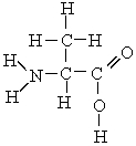  Which atoms in the following molecule would have  \delta <sup>- </sup>charge based on the electronegativities of the elements?   A)  H and O B)  O and C C)  C and N D)  N and O 
