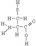  Which atoms in the following molecule would have  \delta <sup>- </sup>charge based on the electronegativities of the elements?   A)  H, C, and O B)  N, O, and S C)  C and N D)  N, S, and C 