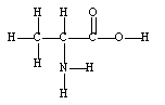 <strong>A 1.0 x 10<sup>2</sup>- gram sample is found to be pure alanine, an amino acid found in proteins. How many moles of alanine are in the sample? </strong> A) 0.20 moles B) 0.90 moles C) 1.1 moles D) 890 moles