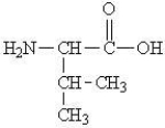 Which of the following represents the zwitterions form of the amino acid valine? A)    B)    C)    D)   