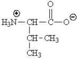 Which of the following represents the zwitterions form of the amino acid valine? A)    B)    C)    D)   