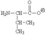 Which of the following represents the zwitterions form of the amino acid valine? A)    B)    C)    D)   