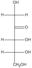 Which of these molecules is an aldopentose? A) B) C) D)