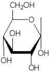 Which of the following is a pyranose ring? A) B) C) Both of these are pyranose rings. D) Neither of these is a pyranose ring.