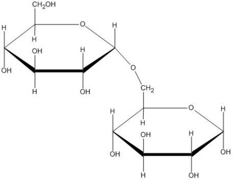 What type of glycosidic bond is shown here?   A) ?(1?4)  B) ?(1?6)  C) ?(1?4)  D) ?(1?6) 