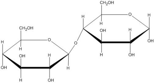 What type of glycosidic bond is shown here?   A) ?(1?4)  B) ?(1?6)  C) ?(1?4)  D) ?(1?6) 