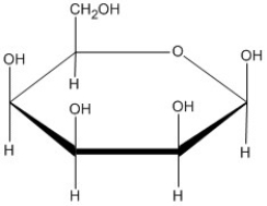 This molecule is the ________ anomer:    