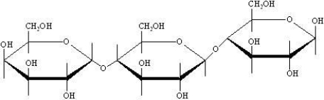 The following trisaccharide, computerose has just been discovered in nature.    A)What are the three monosaccharides that make up this trisaccharide? B)Is this trisaccharide a reducing sugar? Why or why not? C)What type of linkages connect the monosaccharides in this molecule?