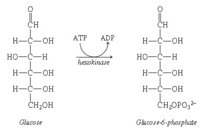 What substance is indicated by the name under the arrow in this equation?   