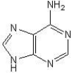 The structure of cytosine is: A) B) C) D)