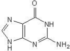 The structure of cytosine is: A) B) C) D)