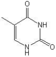 The structure of thymine is: A) B) C) D)