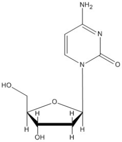 Identify the components in this nucleoside:   A) deoxyribose + cytosine B) ribose + cytosine C) deoxyribose + thymine D) ribose + uracil