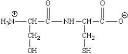 <strong>This dipeptide is designated as:  </strong> A)Ser-Lys B)Ser-Cys C)Cys-Ser D)Lys-Ser <div style=padding-top: 35px> 