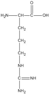 <strong>Identify the amino acid that would only involve hydrophobic interactions in the tertiary structure of a protein.</strong> A)   B)   C)   D)   <div style=padding-top: 35px> 