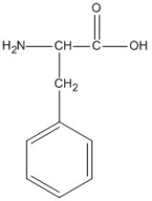 <strong>Identify the amino acid that would only involve hydrophobic interactions in the tertiary structure of a protein.</strong> A)   B)   C)   D)   <div style=padding-top: 35px> 