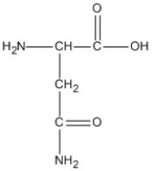 <strong>Identify the amino acid that could form salt bridge interactions in the tertiary structure of a protein.</strong> A)   B)   C)   D)   <div style=padding-top: 35px> 