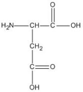 <strong>Identify the amino acid that could form salt bridge interactions in the tertiary structure of a protein.</strong> A)   B)   C)   D)   <div style=padding-top: 35px> 