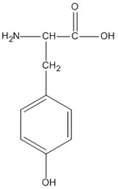 <strong>Identify the amino acid that could form salt bridge interactions in the tertiary structure of a protein.</strong> A)   B)   C)   D)   <div style=padding-top: 35px> 