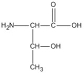 <strong>Identify the amino acid that could form salt bridge interactions in the tertiary structure of a protein.</strong> A)   B)   C)   D)   <div style=padding-top: 35px> 