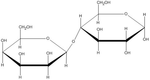 Draw the products of the hydrolysis of this disaccharide.