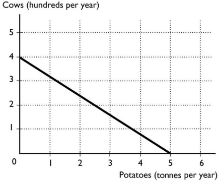   -Gabriel owns a farm in Victoria where he raises cattle and grows potatoes.The figure above illustrates his production possibilities frontier.What is Gabriel's opportunity cost of raising another 100 cows? A) 5.0 tonnes of potatoes B) 100 cows C) 1.25 tonnes of potatoes D) 1.0 tonne of potatoes E) 3.0 tonnes of potatoes 