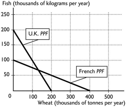   -The figure above shows the production possibilities frontiers for the United Kingdom and France.If the United Kingdom and France specialise and engage in trade,the United Kingdom will produce ________ and France will produce ________. A) fish;fish B) fish;wheat C) wheat;wheat D) wheat;fish E) both wheat and fish;both wheat and fish