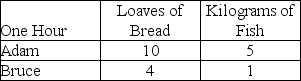 The table below shows the maximum amount of bread and fish that Adam and Bruce can each produce in one hour. According to the numbers in this table,   A)  Bruce has a comparative advantage in fish production. B)  Adam's opportunity cost of 1 loaf of bread is 2 kilos of fish. C)  Bruce's opportunity cost of 1 loaf of bread is 4 kilos of fish. D)  Bruce's opportunity cost of 1 kilo of fish is 1/4 loaves of bread. E)  Adam has a comparative advantage in fish production.