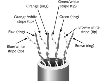   What kind of cable is shown in the figure above?