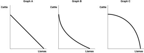 Figure 2.2   -Refer to Figure 2.2.Steve Vignetto raises cattle and llamas on his land.His land is equally suitable for raising either animal.The graph in Figure 2-2 that represents his production possibility frontier is: A) Graph A. B) Graph B. C) Graph C. D) either Graph B or Graph C.