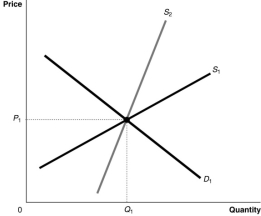 Figure 5.8   -Refer to Figure 5.8.Suppose the market is initially in equilibrium at price P<sub>1</sub> and now the government imposes a tax on every unit sold.Which of the following statements best describes the impact of the tax? For demand curve D<sub>1</sub> A) the producer bears a greater share of the tax burden if the supply curve is S<sub>2</sub>. B) the producer bears a greater share of the tax burden if the supply curve is S<sub>1</sub>. C) the producer's share of the tax burden is the same whether the supply curve is S<sub>1</sub> or S<sub>2</sub>. D) the producer bears the entire burden of the tax if the supply curve is S<sub>1</sub>, and the consumer bears the entire burden of the tax if the supply curve is S<sub>2</sub>.