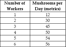 Table 7.1   Table 7.1 shows the technology of production at the Matsuko's Mushroom Farm for the month of May. -Refer to Table 7.1.The average product of labour when the farm hires 5 workers is A) 4 metrics B) 10.8 metrics C) 38.2 metrics D) 54 metrics