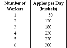 Table 7.2   Table 7.2 summarises production at the Crunchy Apple Orchard for the month of April 2005. -Refer to Table 7.2.The average product of labour when the orchard employs 5 workers is A) 270 bushels B) 54 bushels C) 40 bushels D) 8 bushels