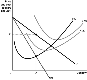Figure 9.5   -Refer to Figure 9.5.If the monopolist charges price P* for output Q*, in order to maximise profit or minimise loss in the short run, it should A) continue to produce because price is greater than average variable cost. B) shut down because price is greater than marginal cost. C) shut down because price is less than average total cost. D) continue to produce because a monopolist always earns a profit.