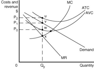 Figure 10.7   Figure 10.7 shows short-run cost and demand curves for a monopolistically competitive firm in the footwear market. -Refer to Figure 10.7.Which of the following statements describes the best course of action for the firm depicted in the diagram? A) The firm should exit the industry because its price is less than its average total cost. B) The firm should minimise its losses by producing Q<sub>y </sub>units and charging a price of P<sub>0</sub>. C) The firm should minimise its losses by producing Q<sub>y </sub>units and charging a price of P<sub>2</sub>. D) The firm should minimise its losses by producing Q<sub>y</sub> units and charging a price of P<sub>1</sub>.