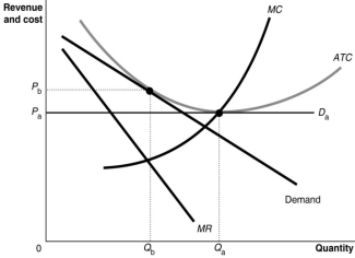 Figure 10.18   -Refer to Figure 10.18.Which of the following statements is true? A) D<sub>a </sub>represents the long-run demand curve facing a monopolistic competitor in a constant-cost industry while D<sub>b</sub><sub> </sub>depicts the demand curve in the short run. B) D<sub>a</sub><sub> </sub>represents the long-run demand curve facing a monopolistic competitor in a constant-cost industry while D<sub>b</sub><sub> </sub>depicts the long-run demand curve in an increasing-cost industry. C) D<sub>a</sub><sub> </sub>represents the long-run demand curve facing a perfect competitor while D<sub>b</sub><sub> </sub>depicts the long-run demand curve facing a monopolistic competitor. D) D<sub>a</sub><sub> </sub>represents the long-run supply curve in a perfectly competitive, constant-cost industry while D<sub>b</sub><sub> </sub>depicts the long-run demand curve facing a monopolistic competitor in a decreasing-cost industry.