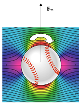 Suppose your instructor staggers into class after a week - long science lab equipment convention. She proceeds to explain Magnus lift in the following way. She has you consider a ball thrown to the left and spinning clockwise, having the wind velocity profile shown below. This is a fastball so it will rise, as correctly indicated. Please explain why the force F<sub>m</sub> is inconsistent with the wind velocity profile.