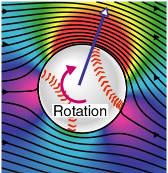 Consider a baseball thrown to the left, spinning clockwise and experiencing laminar flow as shown in the picture below. Based upon the wind speed experienced at the top and bottom of the ball, comment on whether or not this would account for the ball's obtaining a lift (the vertical component of the purple arrow) from spinning. Also, mention whether the ball shown is a good candidate for the Magnus force or for wake deflection.